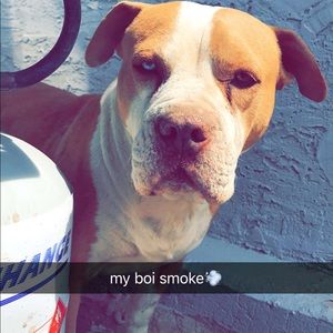 Meet your Posher, Eduardo